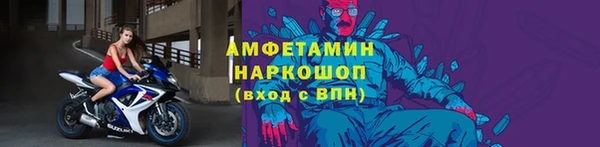 СК Алексин