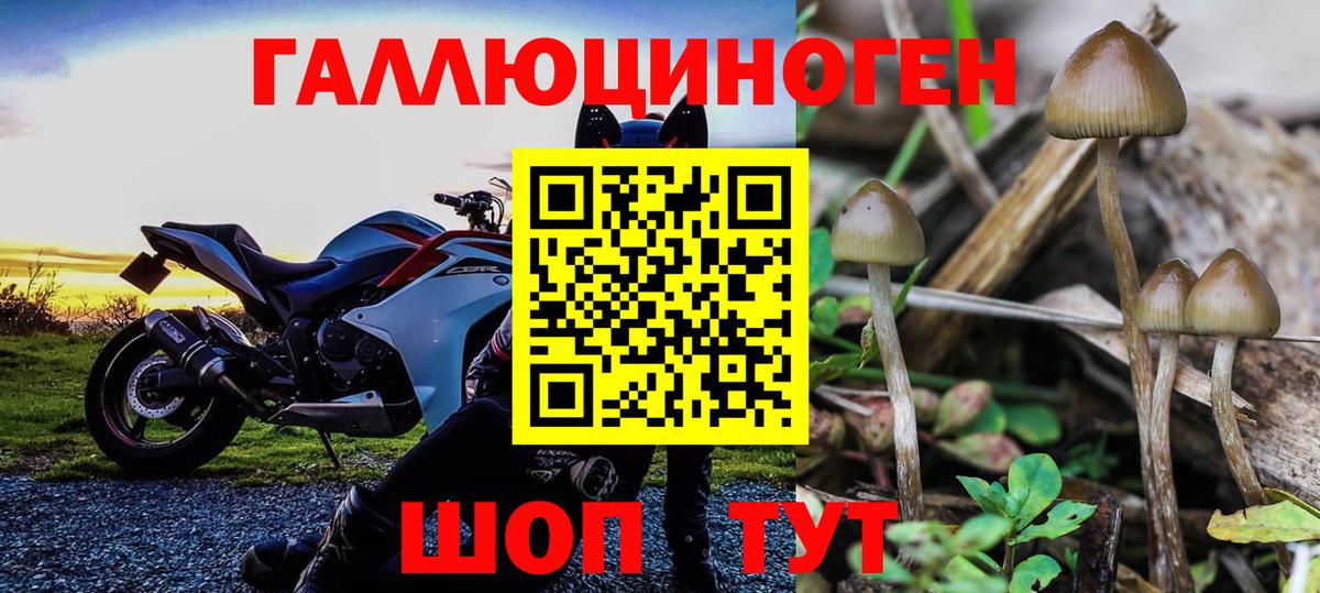 Псилоцибиновые грибы мухоморы Каменск-Уральский
