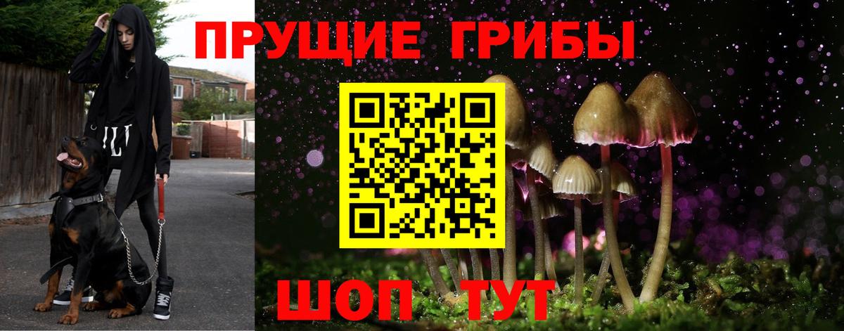 ГАШИШ  Канабис  Каменск-Уральский  MDMA  Вейп ТГК  Вход с VPN  Меф кристаллы  Кокаин  Alpha PVP СК   Героин  NBOMe 