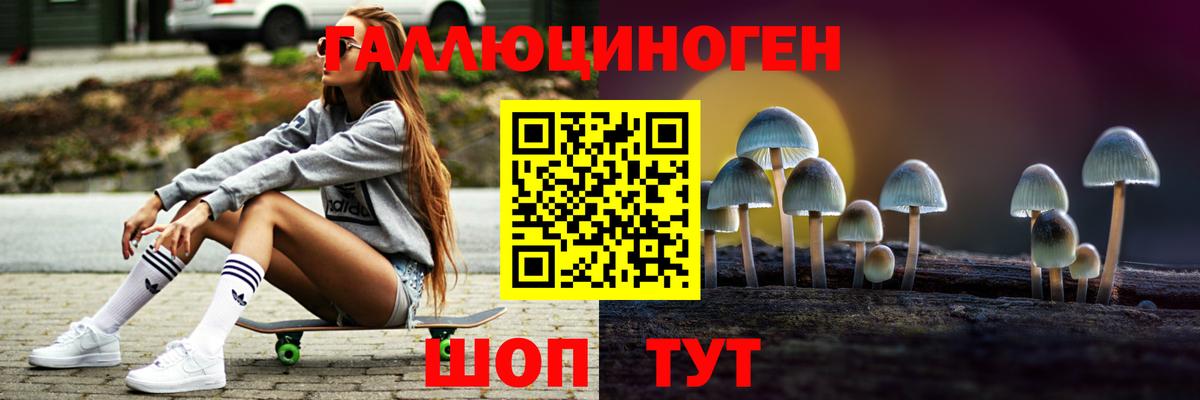 Псилоцибиновые грибы MAGIC MUSHROOMS  Вход с VPN  цена наркотик  Псилоцибиновые грибы Cubensis  Каменск-Уральский 